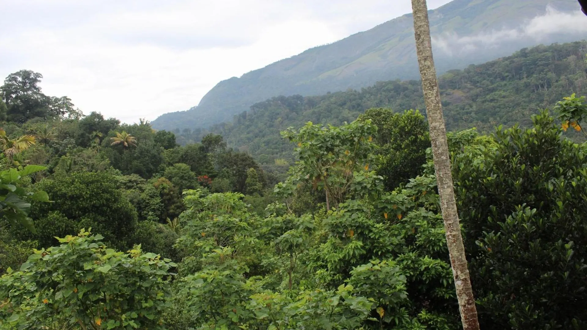 Ksk Homes Munnar Anaviratty